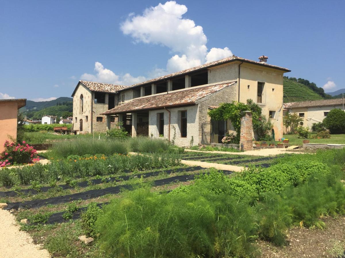 Fiori&vigne di Cecilia Marcon Villa Farra di Soligo Esterno foto