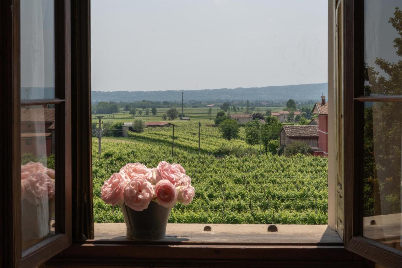 Fiori&vigne di Cecilia Marcon Villa Farra di Soligo Esterno foto