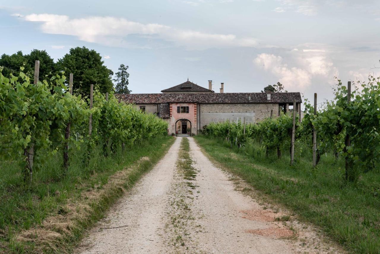 Fiori&vigne di Cecilia Marcon Villa Farra di Soligo Esterno foto