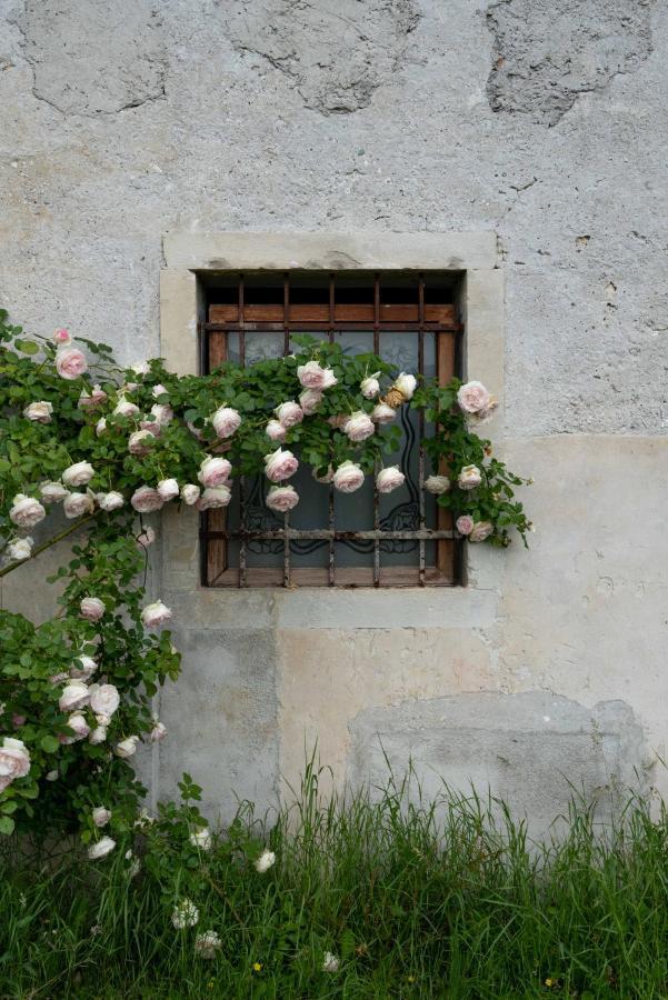 Fiori&vigne di Cecilia Marcon Villa Farra di Soligo Esterno foto