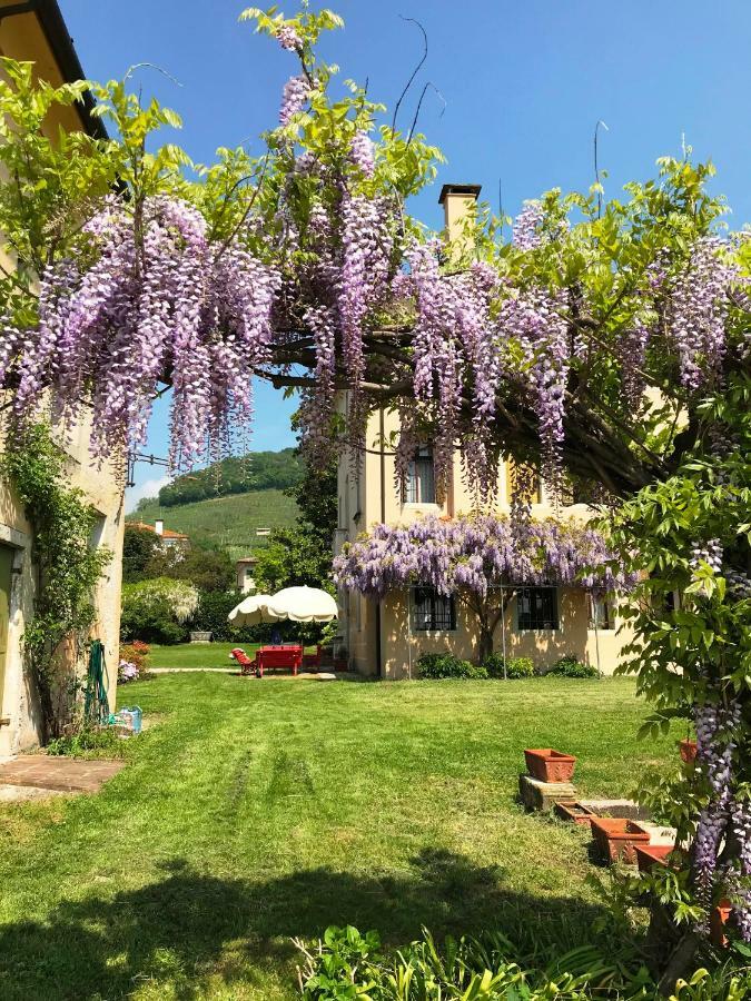 Fiori&vigne di Cecilia Marcon Villa Farra di Soligo Esterno foto